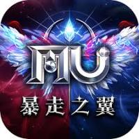 奇蹟MU:暴走之翼